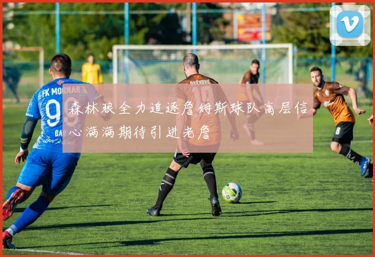 森林狼全力追逐詹姆斯球队高层信心满满期待引进老詹