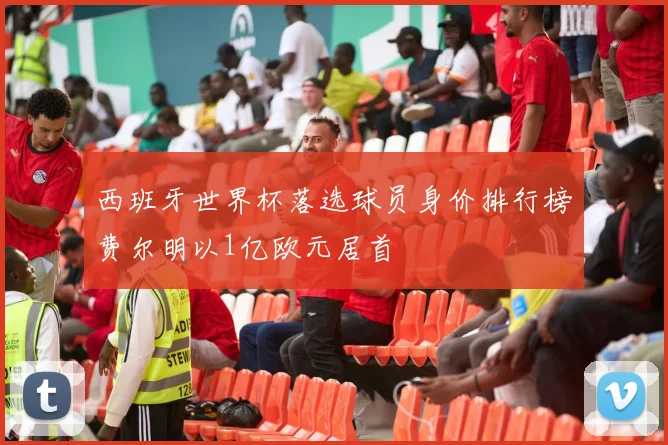 西班牙世界杯落选球员身价排行榜费尔明以1亿欧元居首